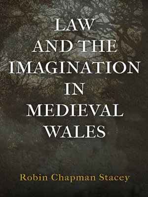 cover image of Law and the Imagination in Medieval Wales